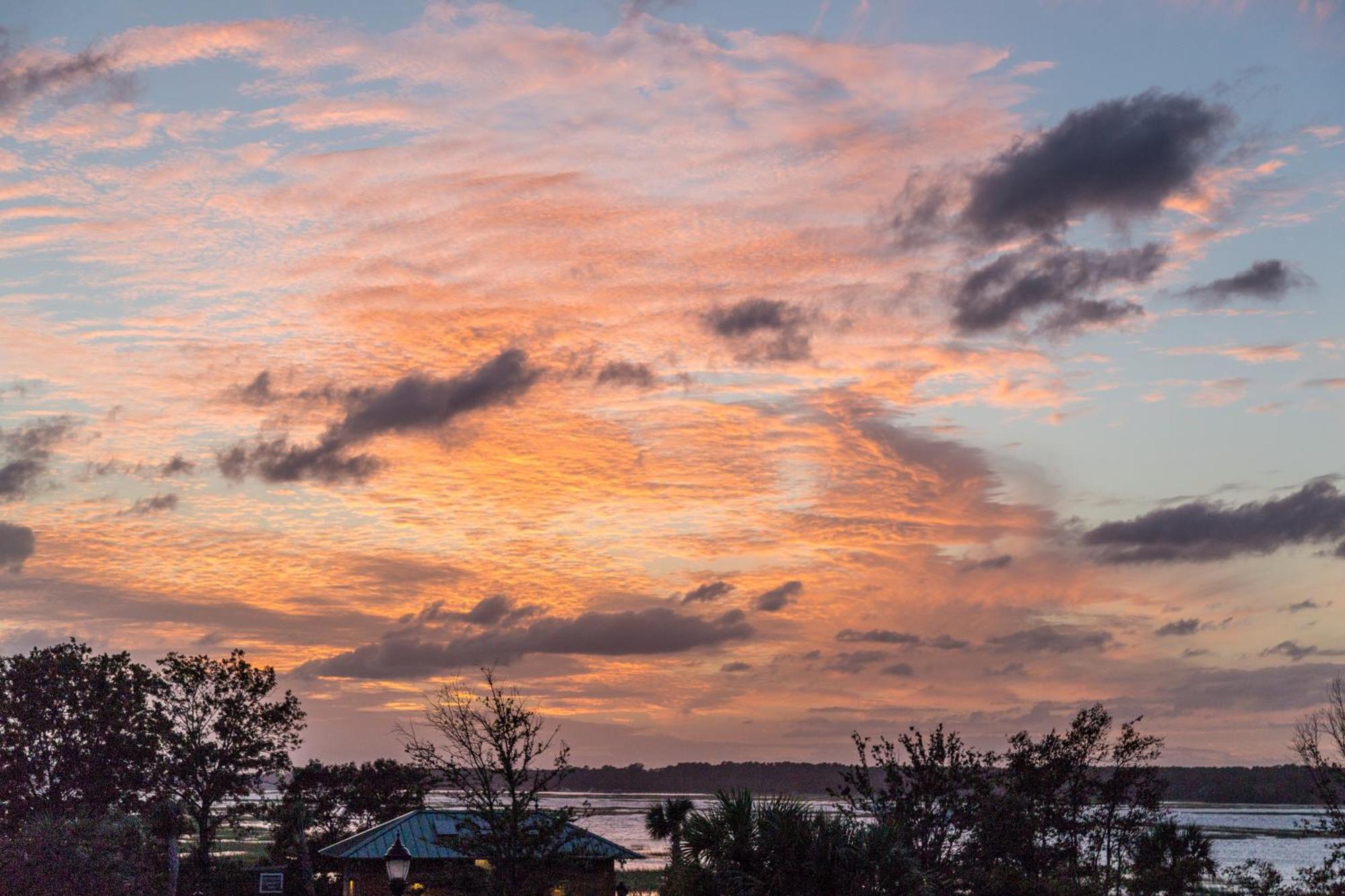 Forest Beach Villas Hilton Head Island Rum bild